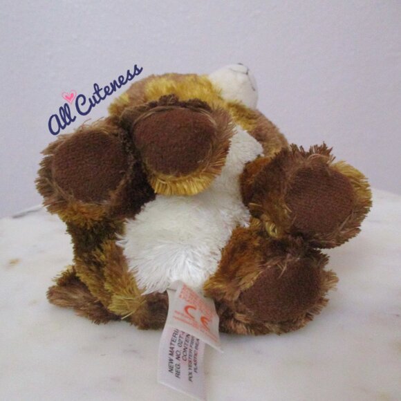 TY Beanie Boos Dexter Chihuahua Beanie Plush - Picture 8 of 8